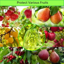 Beschermzakken voor Fruit 15x20 cm - Pack van 100 - Organza - Doorzichtig - Trekkoord - Herbruikbaar - Voor Appels, Peren, Perziken, Tomaat — thumbnail 3