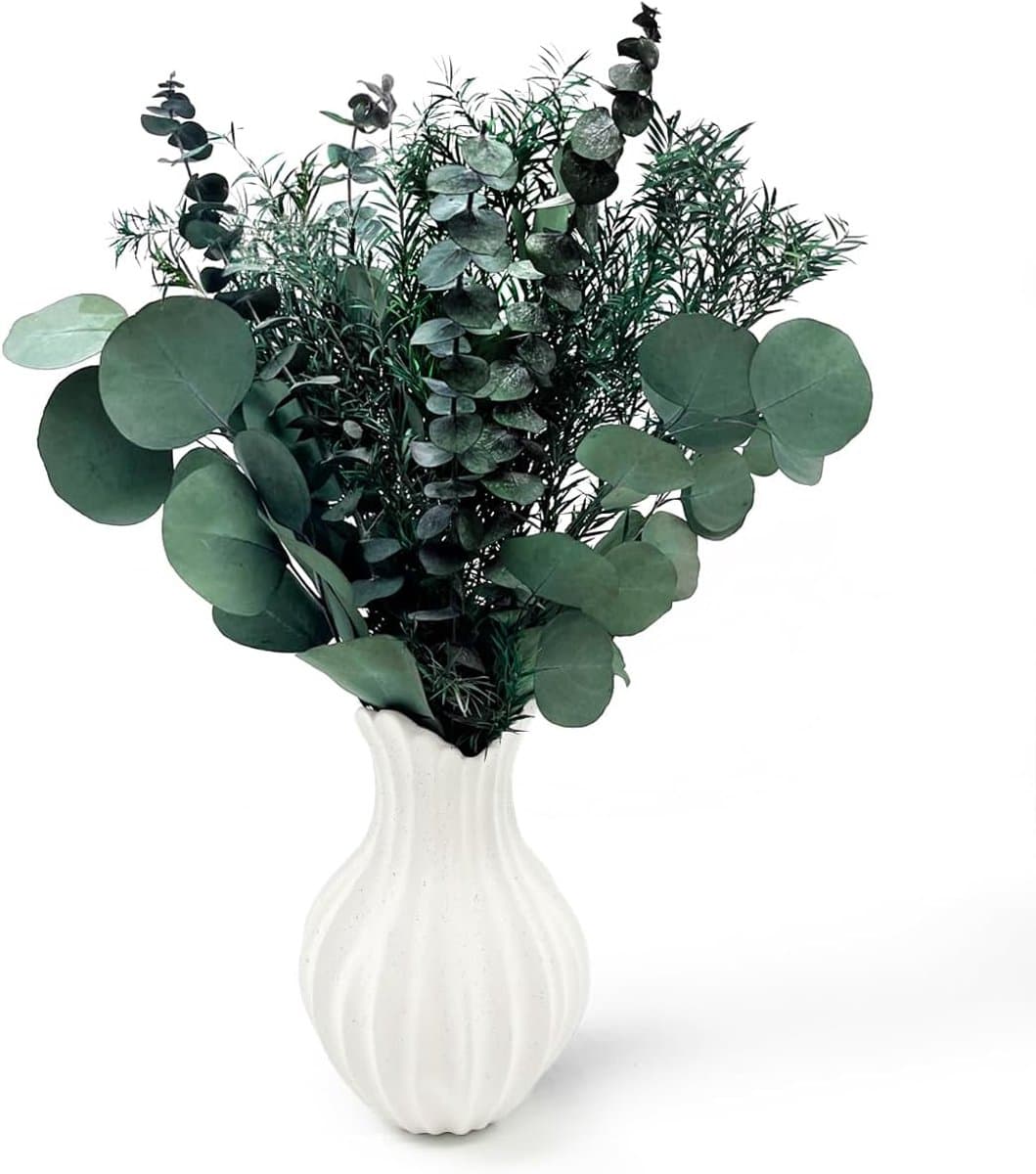 eucalyptus, gedroogd, 3 soorten gemengd voor de bruiloft — afbeelding 1