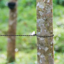 Elastische waslijn - 2 stuks - S - 1,5 m - Uitrekbaar tot 2,5 m - Reiswaslijn - Draagbaar en intrekbaar - Campingwaslijn met zuignap - Intrekbare waslijn - Waslijn - Buitenwaslijn - Stevig - Draagbaar - Geen boren nodig — thumbnail 3