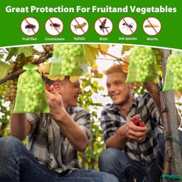 Netzakken Groente Fruit - Beschermzakken Oogsten - Voedsel Bewaren Buiten - Met Trekkoord Sluiting - 200 Stuks - Transparant — thumbnail 4