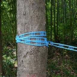 Waslijn - 5m/16.4ft Outdoor Winddicht Draagbaar Luchter Antislip Touw met Elastisch Ontwerp voor Kleding Drogen - Ideaal voor Outdoor Camping en Reizen — thumbnail 3