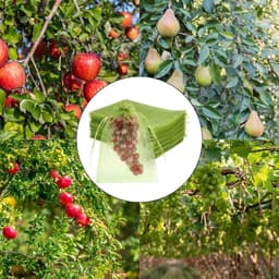 Fruitzakjes van netstof - Beschermzakken voor fruit - Bescherming van oogst - Geoptimaliseerde luchtcirculatie - 15 x 20 cm - Fruitgroen — thumbnail 3