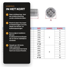 Dailygoods- Madenschroeven M2 x 10 mm - Roestvrij Staal - 100 Stuks - Bevestigingselementen - Kruiskopschroeven - Hoogwaardige Kwaliteit - Schroefdraadpennen — thumbnail 5
