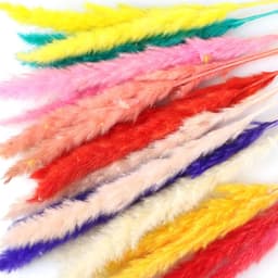 Gedroogde Bloemen, Pampas Gras DIY Handgemaakte Valentijnsdag Bruiloft Woondecoratie Boeket Pampas Grass (Color : Red) — thumbnail 4