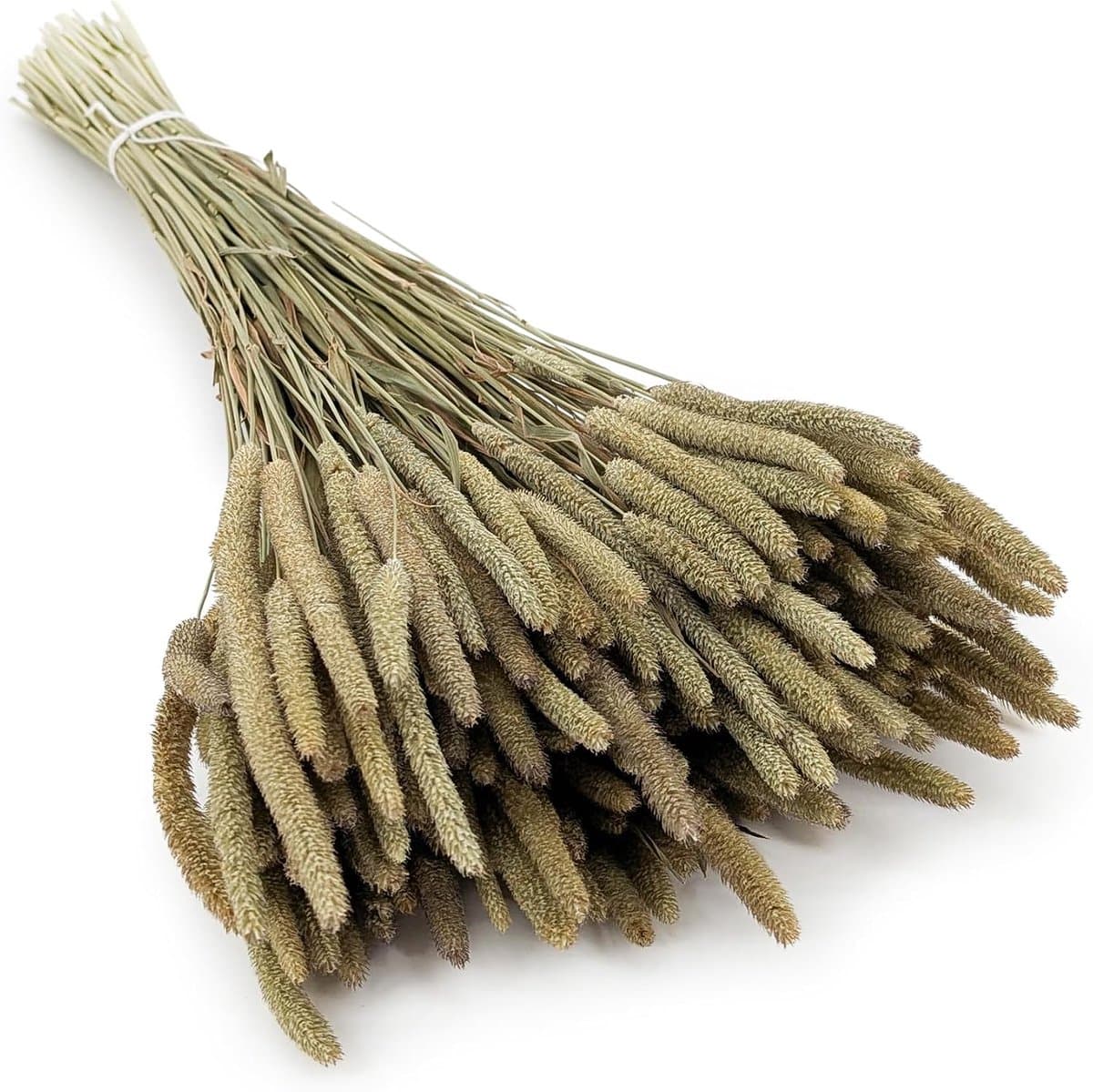 Mech-mech Gedroogd Timothy-gras - naturel — afbeelding 1