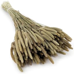 Mech-mech Gedroogd Timothy-gras - naturel — thumbnail 1