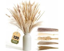 Gedroogd Pampasgras, 120 stuks Pampasdecoratie