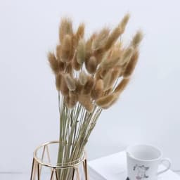 Gedroogd pampasgras, konijnenstaart, gras, 60 stuks, natuurlijke droogbloemen, boeket, decoratie, kunstbloemen, grote gedroogde bloemen, pampasgras voor interieurdecoratie, fotografie — thumbnail 2