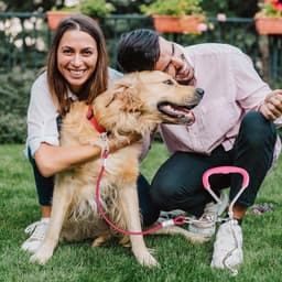 Grondankers voor veilige speeltijd buiten voor grote honden met zekeringsset海. — thumbnail 5