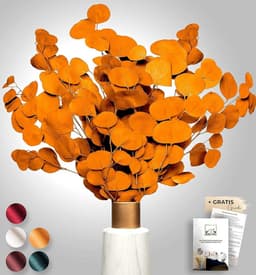 Black Week Birkental eucalyptus - extra duurzame en 65-70 cm lange droogbloemen decoratie - gedroogde eucalyptus - gedroogde bloemen, vaas droogbloemen boeket, boho decoratie (oranje) — thumbnail 1