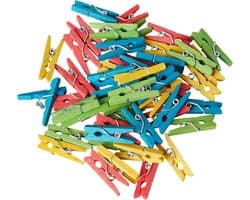 Mini-wasknijpers Hout 2,5 cm - 48 Stuks in Bonte Kleuren voor Decoratie en Knutselen