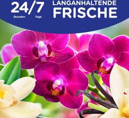 Softlan Ultra - Vanille & Orchidee - Wasverzachter - 1300ml - 59 Wasbeurten — thumbnail 4
