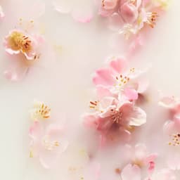 Rituals of Sakura Textil Spray 250 ml — thumbnail 2