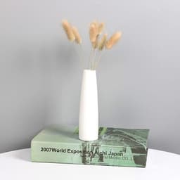 Gedroogd pampasgras, konijnenstaart, gras, 60 stuks, natuurlijke droogbloemen, boeket, decoratie, kunstbloemen, grote gedroogde bloemen, pampasgras voor interieurdecoratie, fotografie — thumbnail 4