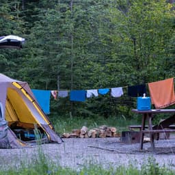 Waslijn 20 Meter Sterk met Stalen Kern - Scheurbestendige & Robuuste PVC Waslijn voor Buiten en Camping — thumbnail 5