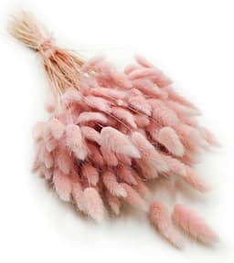 Dekogras, gedroogd gras, siergras, hazenstaarten, lagurus, ovatus, fluweelgras, haasstaartgras, droogbloemen, natuurlijk boho, 120 - 150 stuks, 100 g, parelroze — thumbnail 1