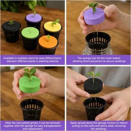 60 stuks hydrocultuursponzen, hydrocultuurspons — thumbnail 5