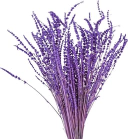 Gedroogde lavendel, 30 cm, droogbloemen, boeket, natuurlijke lavendel, bundel, 60 g, bloemen, decoratief boeket voor feestjes, bruiloft, decoratie, doe-het-zelf wooncultuur — thumbnail 1