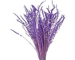 Gedroogde lavendel, 30 cm, droogbloemen, boeket, natuurlijke lavendel, bundel, 60 g, bloemen, decoratief boeket voor feestjes, bruiloft, decoratie, doe-het-zelf wooncultuur