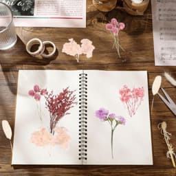 Gedroogde bloemen decoratieset, natuurlijk boeket droogbloemen, decoratie om te knutselen, met 2 clips en 20 rond dubbelzijdig plakband, 15 mm, voor woonkamer, huishouden, tafeldecoratie (kleur 1) — thumbnail 5