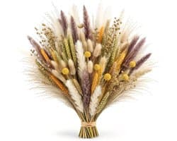 Gedroogde bloemen voor de herfst, pampasgras voor herfstdecoratie, bruiloft, huis, eettafel, feestdecoratie, natuurlijke gedroogde bloemendecoratie in boho-stijl