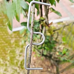 15 Stuks Boom Tak Buig Clips voor Vruchtbomen - Verstelbare Takken Spreider voor Tuinbouw — thumbnail 4