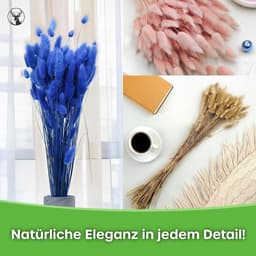 Dekogras, gedroogd gras, siergras, hazenstaarten, lagurus, ovatus, fluweelgras, haasstaartgras, droogbloemen, natuurlijk boho, 120 - 150 stuks, 100 g, parelgrijs — thumbnail 5