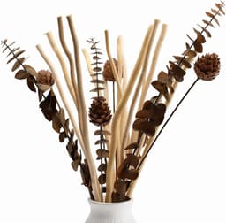 Gedroogde wilgentakken, decoratie, boeket gedroogde bloemen, eucalyptus en dennenappels, plant, decoratie voor rustiek, boho, tafel, huis, woonkamer, bruiloft — thumbnail 2