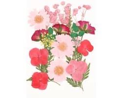 Gedroogde bloemen decoratie gedroogde bloemen kleurrijke gedroogde bloemen dried geperste bloemen voor hars sieraden maken doe-het-zelf kaarsen hanger telefoonhoesjes fotolijst