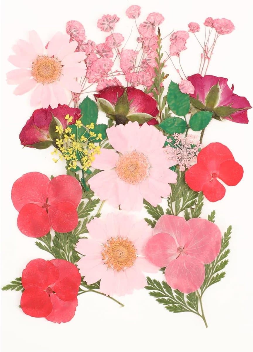 Gedroogde bloemen decoratie gedroogde bloemen kleurrijke gedroogde bloemen dried geperste bloemen voor hars sieraden maken doe-het-zelf kaarsen hanger telefoonhoesjes fotolijst — afbeelding 1