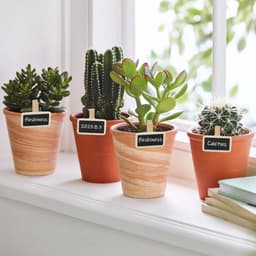 Dailygoods - Mini-borden om te beschrijven - 100 stuks houten wasknijpers — thumbnail 2
