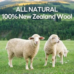 Solidchoice - Set van 6 Wol Droogballen van 100% Nieuw-Zeelandse Schapenwol — thumbnail 4
