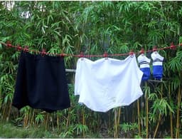 Portable Clothesline with 12 Clothespins, Windproof Travel Clothesline Stretchy Elastic Portable Clothes Lines Inside - ShopVlot — thumbnail 2
