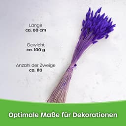 Dekogras, gedroogd gras, siergras, hazenstaarten, lagurus, ovatus, fluweelgras, haasstaartgras, droogbloemen, natuurlijk boho, 120 - 150 stuks, 100 g, parelgrijs — thumbnail 4