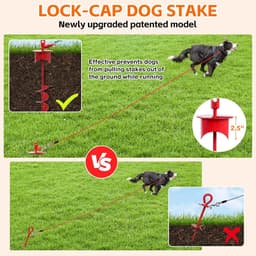 Grondanker Hond - Aanleganker - Buiten Beveiligen - Robuust Roestvrij Staal - 44 cm Lengte - Rood — thumbnail 5