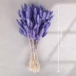 Gedroogde pampasbloemen, 120 stuks, gedroogd boeket, natuurlijk, 30 cm, pampasgras, decoratie, voor huis, lente, tafel, bruiloft, woonkamer, feest, slaapkamer, verjaardag, paars — thumbnail 3