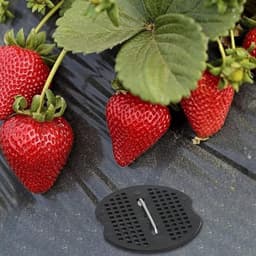 Bevestiging Grondankers 20 Stuks - Robuust/roestvrij Staal - 10 cm Lang - Tuin/kunstgras - Eenvoudige Bevestiging - Duurzaam — thumbnail 5