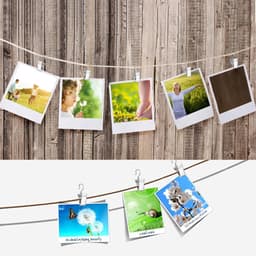 SnelShoppen - 150pcs Gordijnhaak Clips met S Haken en Metalen Klemmen | Lichtgewicht RVS Clips voor Raam- en Douchegordijnen, Decoratieve Stoffen — thumbnail 4