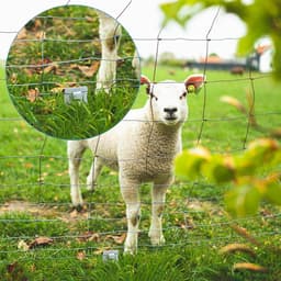 Grondankers voor Hek - Hekankers Bodemankers - Hekken Bevestigen - Roestbestendig Verzinkt Staal - 33 cm Lengte - Zilver — thumbnail 2