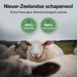 2BEHOME XL Drogerballen Voor Wasdrogers - 6 Stuks - Gemaakt van 100% Nieuw-Zeelandse Schapen Wol - Wasdrogerballen - Droogballen - Droger Ballen - Dryer Balls - Zwart — thumbnail 5