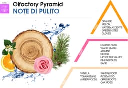 Wasparfum Note di Pulito 250ml – HygienFresh — thumbnail 2