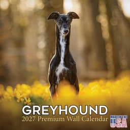 2022 2023 Greyhound-kalender - Hondenras maandelijkse muurkalender - 12 x 24 open - dik niet-ontluikbaar papier - cadeau - Academische lerarenplannerkalender organiseren en plannen - Made in USA — thumbnail 1