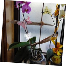 1set Transparante Plantsteunen Acrylaat Plant Steunen Voor Stengels Ondersteuning Voor Klimplanten Groei Voor Tuin Binnengebruik — thumbnail 2