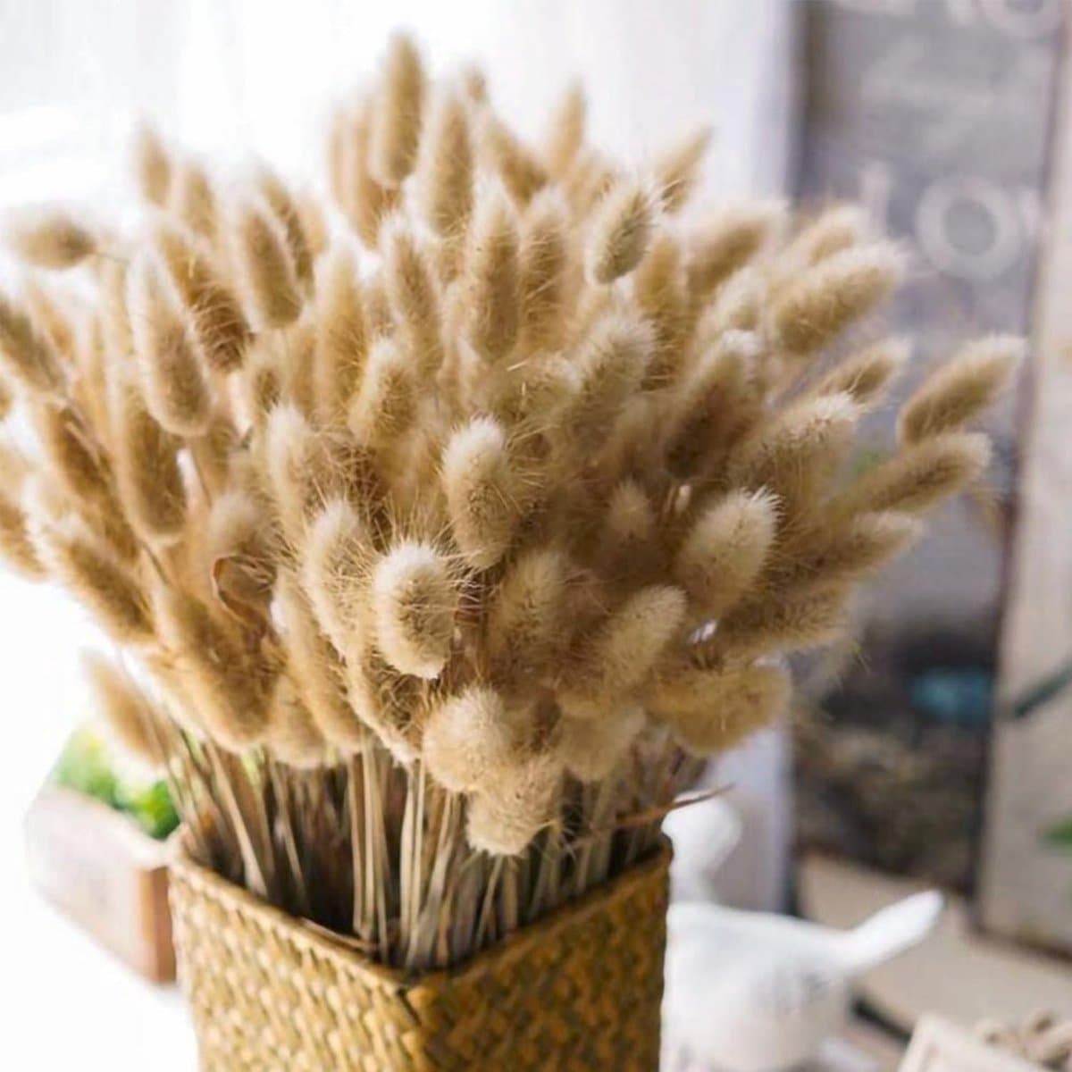 Gedroogde bloemen, natuurlijke kleur droogboeket, gedroogde bloemen perfect voor bruiloften, huisdecoratie, thuis, feest, bruiloft, vaas, decoratie — afbeelding 1