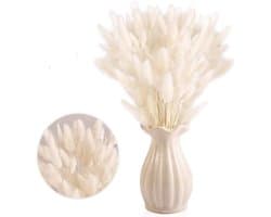 Gedroogd pampasgras, konijnenstaart, gras, 30 stuks, natuurlijke droogbloemen, boeket, decoratie, kunst, groot, droogbloemen, pampasgras voor interieur, fotografie, bruiloft, wit