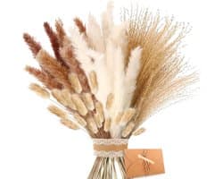 Gedroogde Bloemen, Bruin, Wit Pampasgras Pluizige Bladeren, Lagurus en Zegge Gedroogde Bloemen Boeket Gedroogde Bloemen, Voor Bloemstuk Home Decor