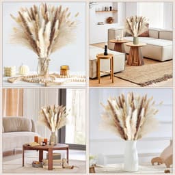 100 stuks decoratie van gedroogd pampasgras, gedroogd pampasgras — thumbnail 2