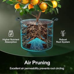 Kweekzakken 5-pack 20L - Dikke vliesstof met handgrepen voor aardappelen, tomaten en aardbeien — thumbnail 3