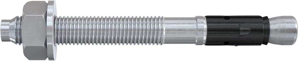 Doorsteekanker Bouten - Zware Lasten Bevestiging - Staalconstructies Bevestigen - ETA Goedgekeurd - 12/160 mm - Zilver — afbeelding 1