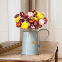20 gedroogde strochrysanten — thumbnail 5